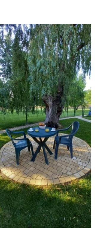 Logement lumineux, entièrement rénové avec jardin Caumont-sur-Durance Exterior foto